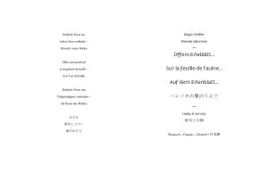 Extrait du livre Sur la feuille de l’aulne - d’Edgar Zeidler et Daisuke Sakumoto - haikus - maquette©regardgraphiste.com