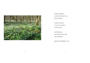 Extrait du livre Sur la feuille de l’aulne - d’Edgar Zeidler et Daisuke Sakumoto - haikus - maquette©regardgraphiste.com