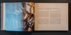 Extrait, pages du livre «Au cœur de l'Europe humaniste», collection L'Esprit d'un lieu — Éditions du Tourneciel — textes de Gabriel Braeuner, photographies de Dominique Pichard