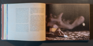 Extrait, pages du livre «Au cœur de l'Europe humaniste», collection L'Esprit d'un lieu — Éditions du Tourneciel — textes de Gabriel Braeuner, photographies de Dominique Pichard