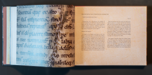 Extrait, pages du livre «Au cœur de l'Europe humaniste», collection L'Esprit d'un lieu — Éditions du Tourneciel — textes de Gabriel Braeuner, photographies de Dominique Pichard