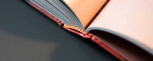 Détail, cahiers cousus et tranchefile du livre «Au cœur de l'Europe humaniste» à la sortie du carton — Éditions du Tourneciel