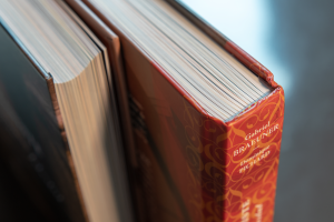 Détail, couverture cartonnée et tranchefile du livre «Au cœur de l'Europe humaniste» à la sortie du carton — Éditions du Tourneciel