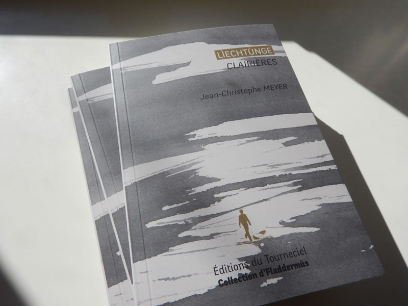 Illustration de « Lìechtùnge Clairières » de Jean-Christophe Meyer