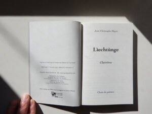 Illustration de « Lìechtùnge Clairières » de Jean-Christophe Meyer